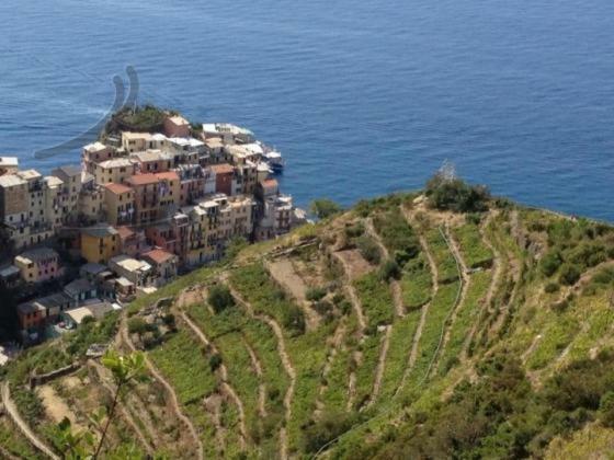 Appartamento Vacanze "Borgo Cinque Terre" Volastra Manarola Εξωτερικό φωτογραφία