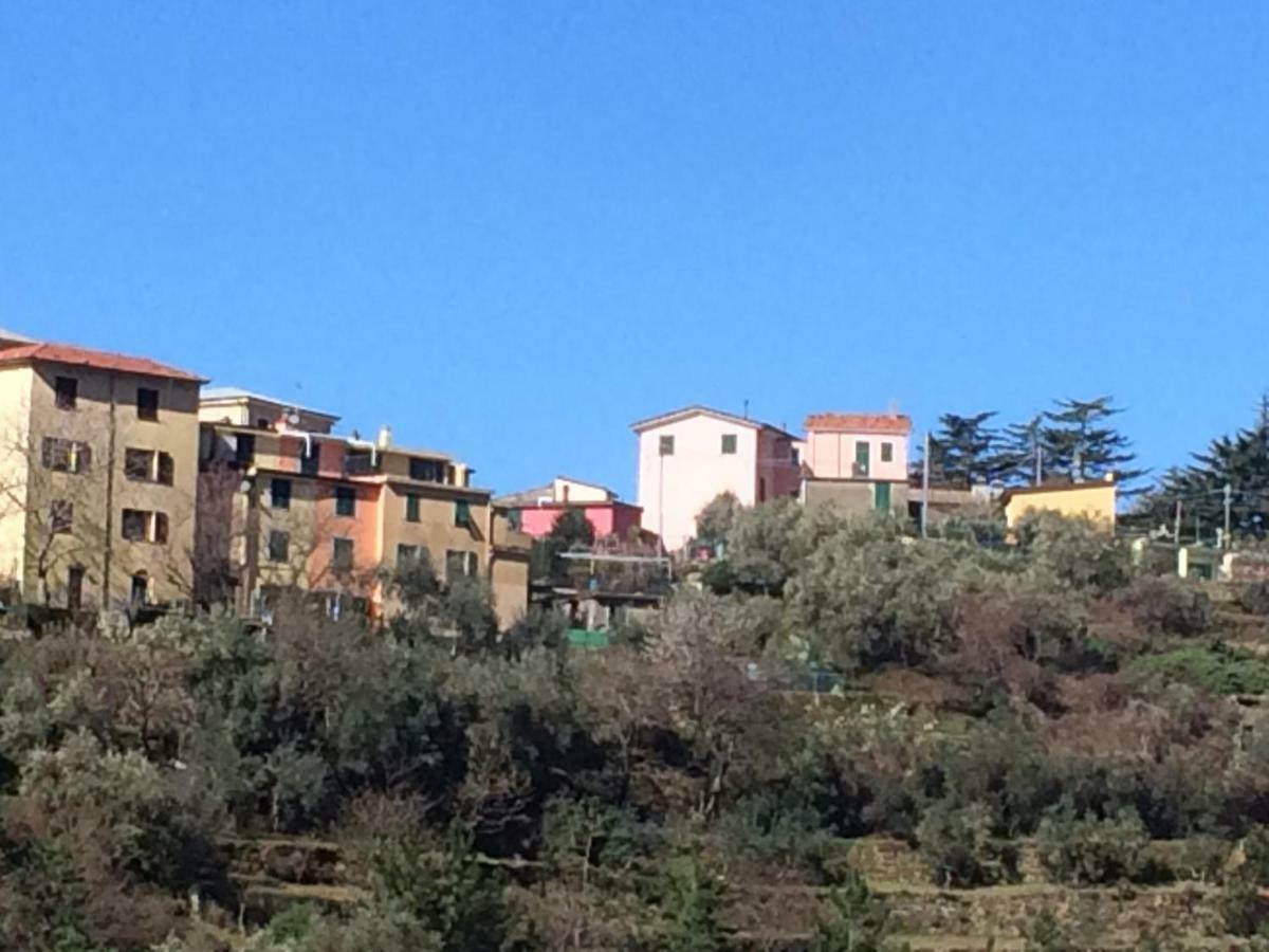 Appartamento Vacanze "Borgo Cinque Terre" Volastra Manarola Εξωτερικό φωτογραφία
