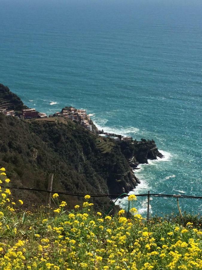 Appartamento Vacanze "Borgo Cinque Terre" Volastra Manarola Εξωτερικό φωτογραφία